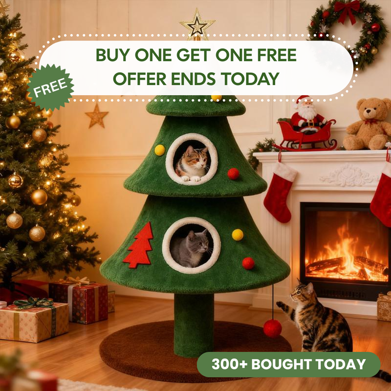 Get your cats in the festive spirit!