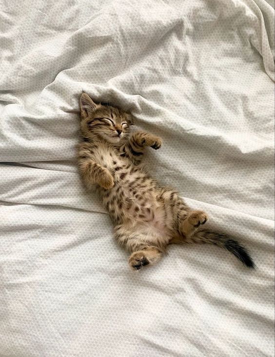 Why does this tree work so